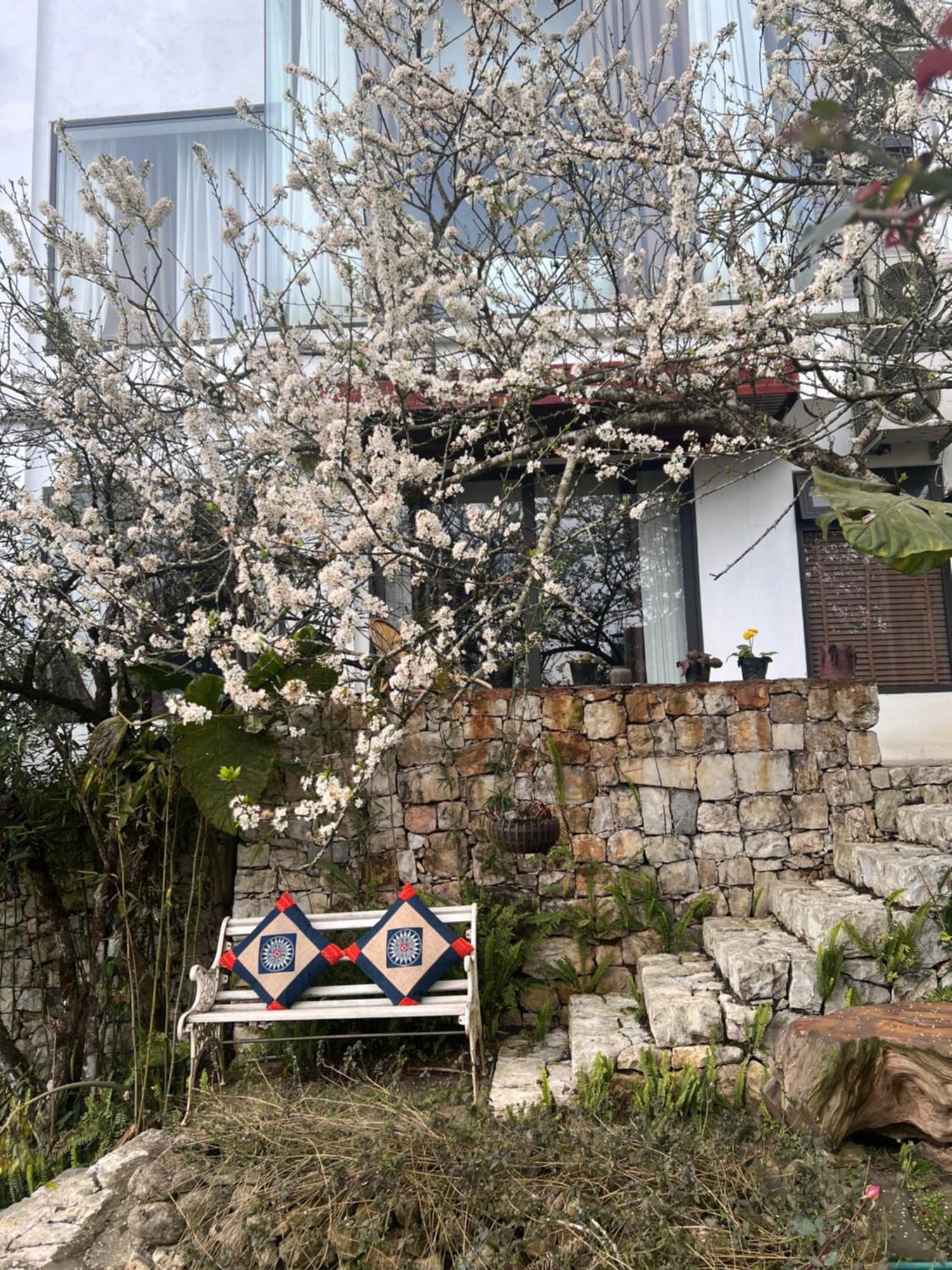 Green Villa Sapa 外观 照片